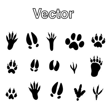Footprints of animals. Animal legs silhouette, animals walking paw tracks or track trail. Vector illustration.eps