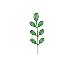 Green leaves