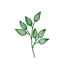 green leaves