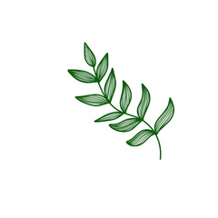 branch with leaves
