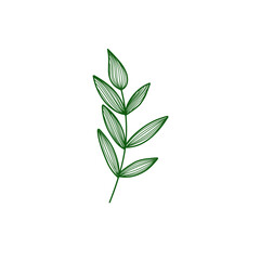 Fototapeta premium Green leaves