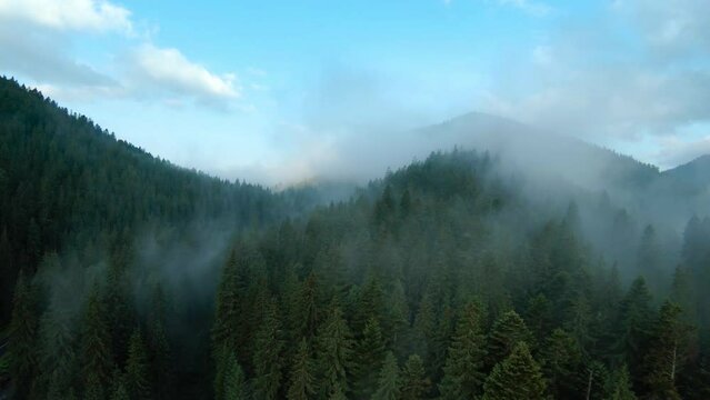 Aerial view of beautiful mountain landscape. Fog rises over the mountain slopes