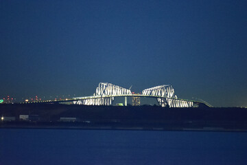 Obraz premium 東京ゲートブリッジ