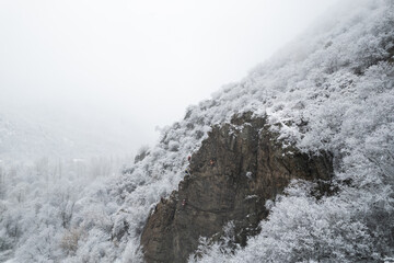 Aerial shot of snow covered cliffs conquered by climbers