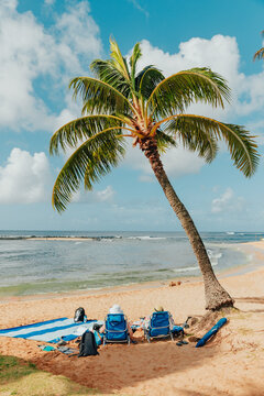 Couple Relaxing Alone Beneath Palm Tree