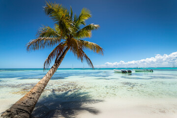 Fototapeta na wymiar Boats and tropical beach in caribbean sea, Saona island, Dominican Republic