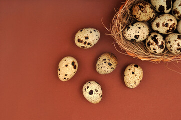 Happy Easter. Quail eggs in a nest on a terracotta background. Space for text.