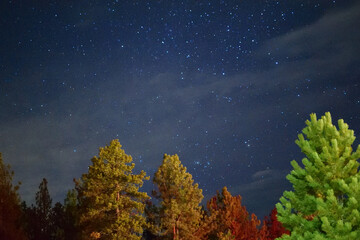 landscape with stars