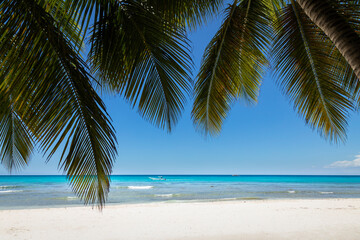 Fototapeta na wymiar Tropical beach in caribbean sea, idyllic Saona island, Dominican Republic