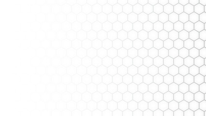 White honeycomb pattern background