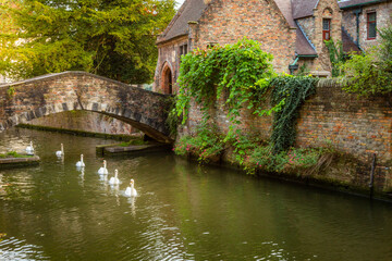 Naklejka premium Architecture of idyllic Bruges with canal and swans floating in a row, Flanders, Belgium