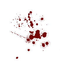 Red blood splatter stain on white background	