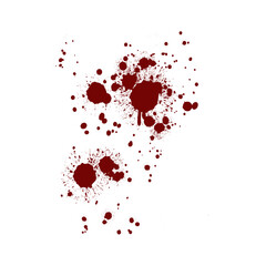 Red blood splatter stain on white background	