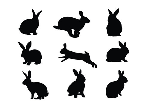 rabbit silhouette set in variety pose