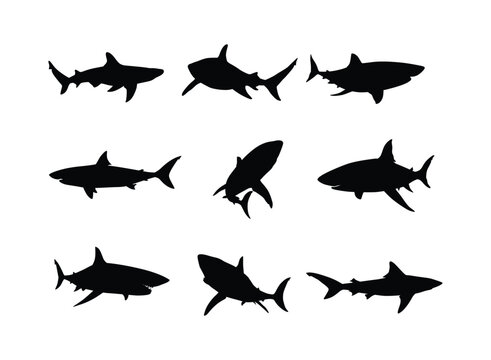 shark silhouette set in variety pose