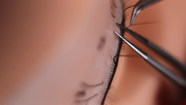 Basic training to build eyelashes on a silicone mannequin. Eyelashes close-up. Work with tweezer. Eyelash extension procedure. macro.