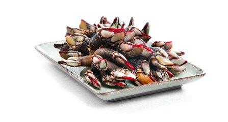 Barnacles, goose neck barnacle, percebes, gallician barnacles in a plate, isolated on white background, close-up. Pollicipes pollicipes. Expensive delicatessen, gourmet sea food.