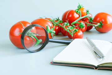 Fresh red tomatoes, different varieties and sizes, next to magnifier, pen and notepad. Concept of...