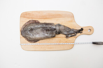 Today's dinner menu is squid