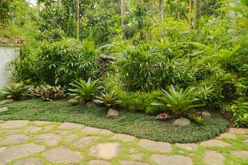 Tropical mixed flower bed. Background, sunny day at tropical park