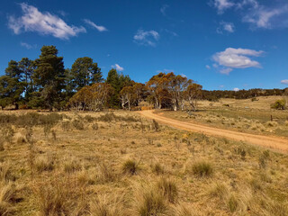 A paddock on a farm in rural Australia