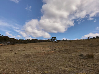 Fototapeta na wymiar landscape of the mountains on a farm in rural Australia