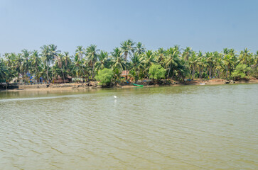 Backwaters of Kemmanu delta