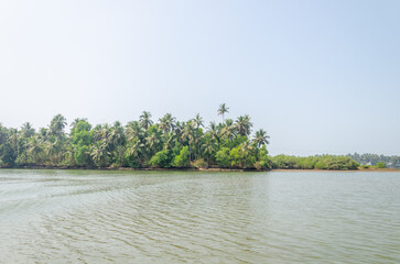 Backwaters of Kemmanu delta