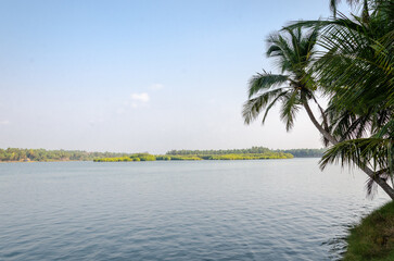 Backwaters of Kemmanu delta