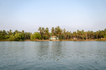 Obraz premium Backwaters of Kemmanu delta