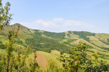 Fototapeta na wymiar Mullayangiri range of mountains in Chikmagalur, India