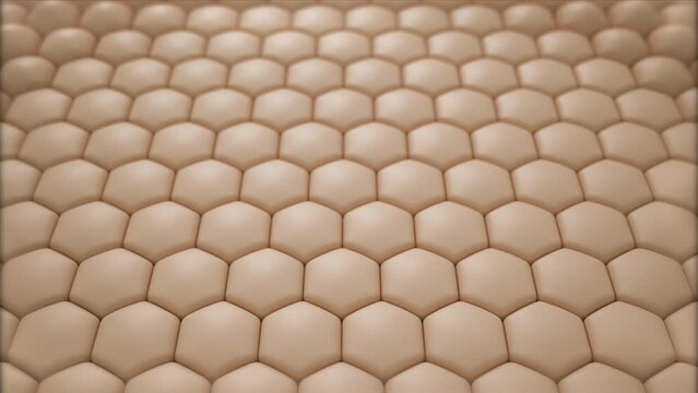 Regeneration of skin cells. Damaged skin cells repairing, wave, 3D Hexagonal Skin Set