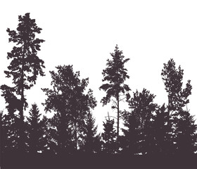 Beautiful forest, silhouette of firs, pines and different deciduous trees. Vector illustration.
