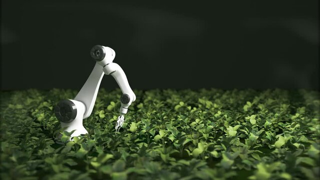 Robotic arms looking after fresh, young, green plants in a vast, modern, foggy greenhouse. Soft, cold spotlights illuminate the leaves revealing their natural, vibrant, healthy color. Black background