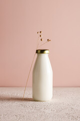 milk in bottle on beige background with plant. copy space. Healthy food and lifestyle. Place for text. Dairy products concept - obrazy, fototapety, plakaty