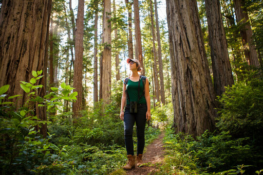 Female hiker exploring forest at Redwood National and State Parks