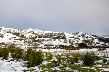 snow covered mountains in california