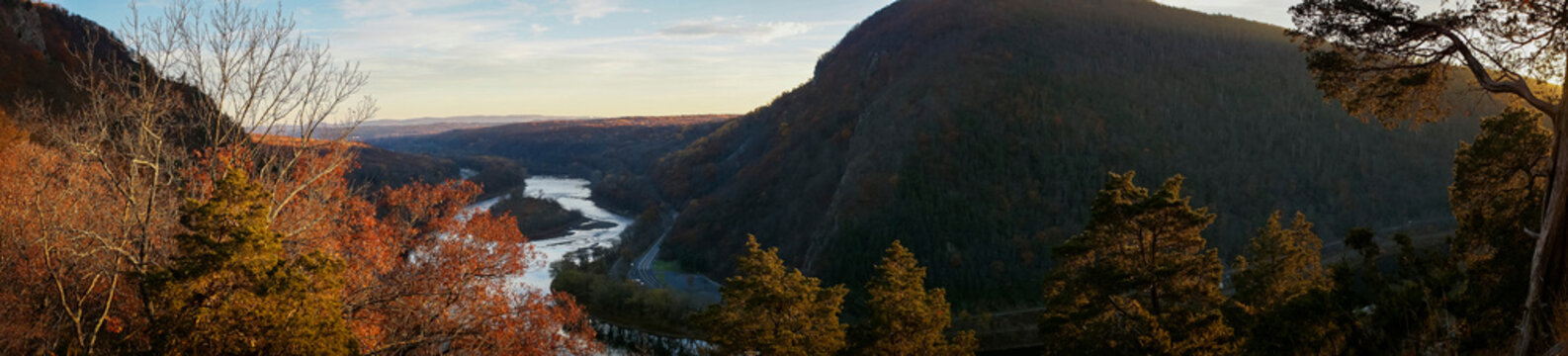 Panoramic view of trees against sky in forest during autumn at sunset