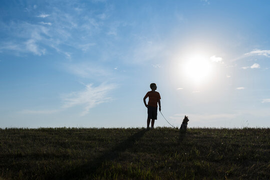 Boy with dog on grassy field against sky during sunny day