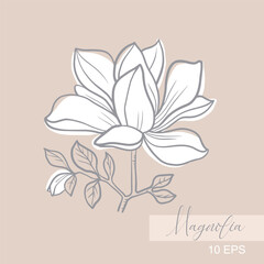 Vector graphic linear illustration of a sprig of magnolia flowers