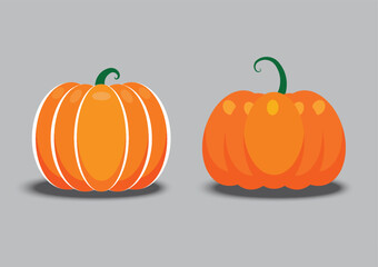Set of fresh orange pumpkins. Vector illustration of holiday halloween.