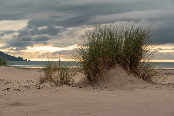 Grass tuft on Tramore beach at dusk, Kiltoorish, County Donegal, Ireland