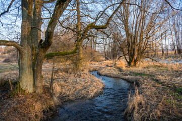 Spring River stream crinkling on meadow in sunset