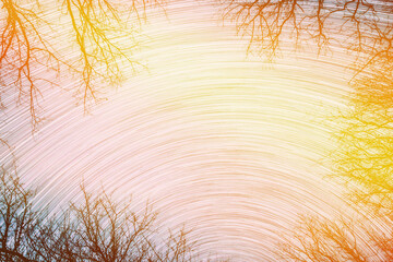 Saturated Amazing Unusual Stars Effects In Sky. Abstract Star Lines Move In Sky.spin Trails Of Stars Above Tree Crowns Without Foliage. Night Rotate Sky Star Background. Bright Blue, Yellow, Orange.