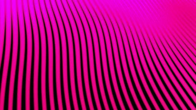 Wavy striped background purple vivid colors. Ultraviolet light on purple stripe of a curve wave. Abstract minimal animation background with smooth curvature effect. Loop wave