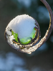 Winterzeit im Garten