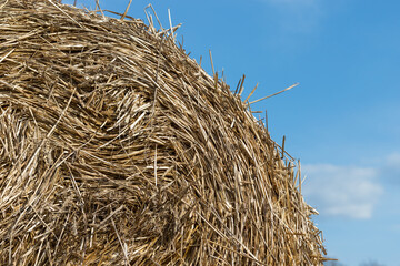 straw bales in the field, agriculture, background, haystack