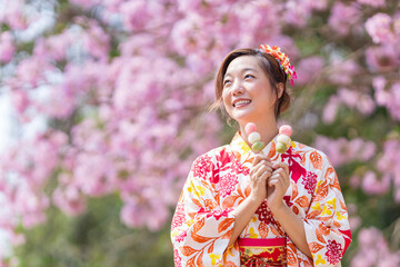 Japanese woman in traditional kimono dress holding sweet hanami dango dessert while walking in the...