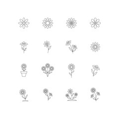 Set of flower icons. Chamomile. Line style. Collection of  floral design elements. Vector illustration. 