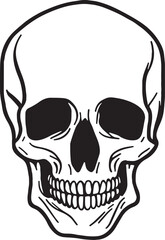 Skull Vector illustration, SVG